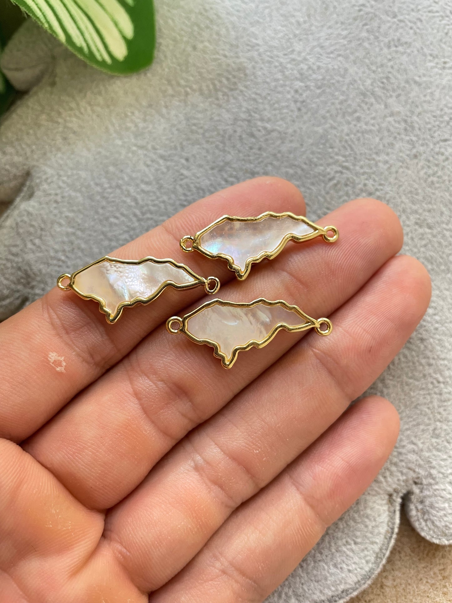 Conector mapa de concha nácar