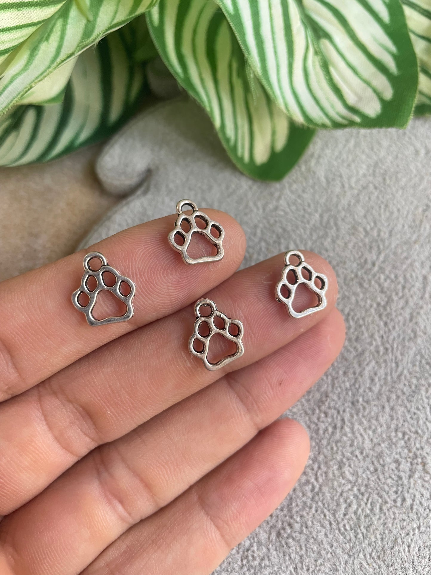 Dije de huella de perro de pewter