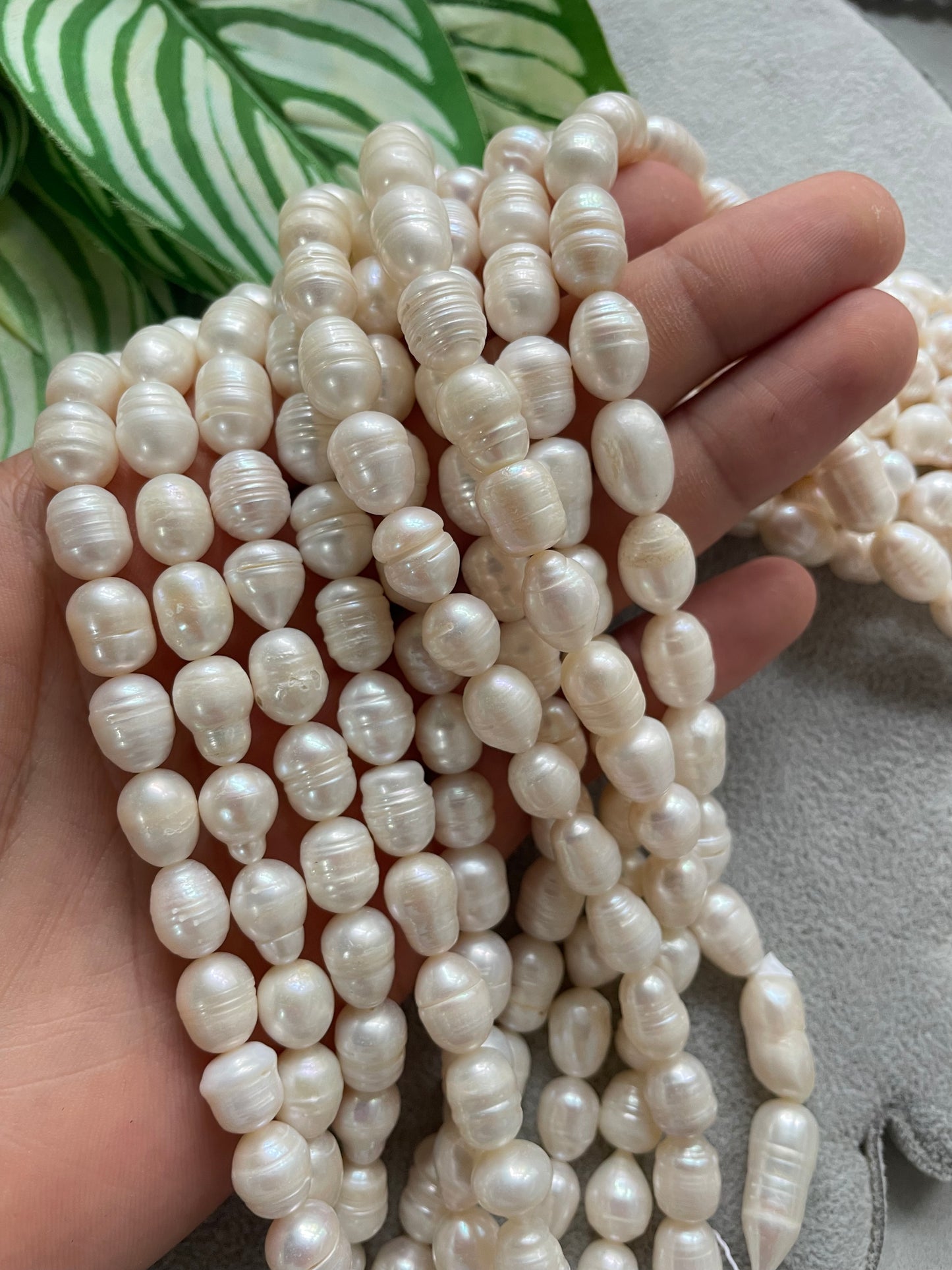 Perla de rio arroz 10mm