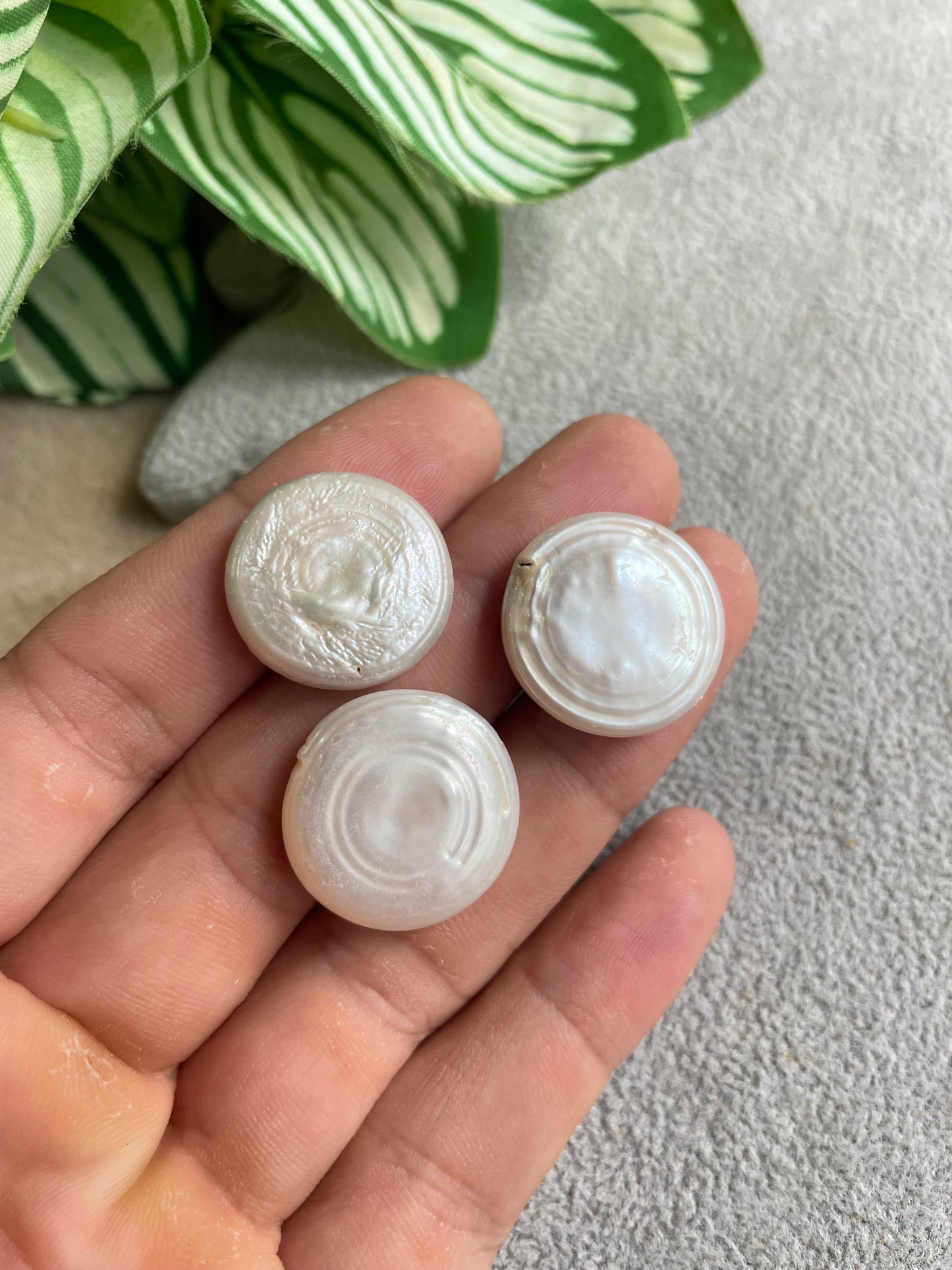 Perla barroca moneda 20mm - unidad